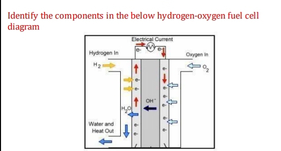 Identify the components in the below hydrogen-oxygen fuel cell
diagram