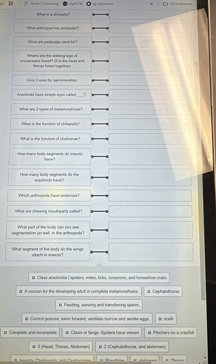 Home | Schoology myPLTW ap classroom » All Bookmarks
What is a chrysalis?
What arthropod has pedipalps?
What are pedipalps used for?
Where are the walking legs of
crustaceans found? (It is the head and
thorax fused together)
Give 3 uses for swimmerettes
Arachnids have simple eyes called _?
What are 2 types of metamorphosis?
What is the function of chilapeds?
What is the function of chelicerae?
How many body segments do insects
have?
How many body segments do the
arachnids have?
Which arthropods have antennae?
What are chewing mouthparts called?
What part of the body can you see
segmentation on well in the arthropods?
What segment of the body do the wings
attach in insects?
:: Class arachnida ( spiders, mites, ticks, scorpions, and horseshoe crabs
: A cocoon for the developing adult in complete metamorphosis. :: Cephalothorax
:: Feeding, sensing and transferring sperm.
:: Control posture, swim forward, ventilate burrow and aerate eggs. :: ocelli
:: Complete and incomplete : Claws or fangs. Spiders have venom :: Pinchers on a crayfish
:: 3 (Head, Thorax, Abdomen) :: 2 (Cephalothorax, and abdomen)
