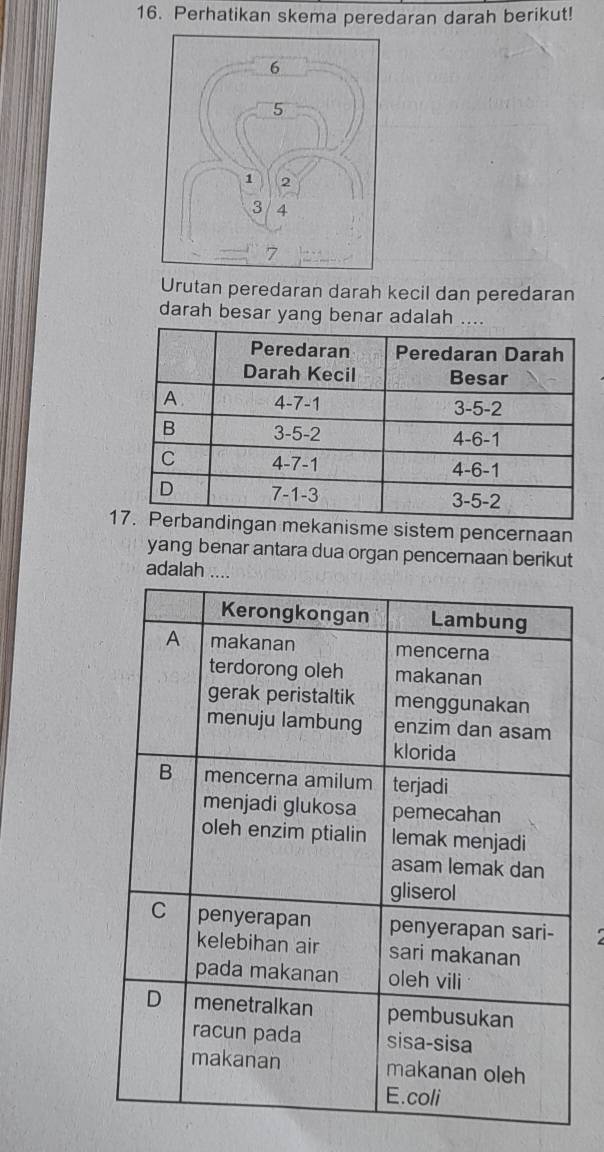 Perhatikan skema peredaran darah berikut! 
Urutan peredaran darah kecil dan peredaran 
darah besar yang benar adalah .... 
1an mekanisme sistem pencernaan 
yang benar antara dua organ pencernaan berikut 
adalah