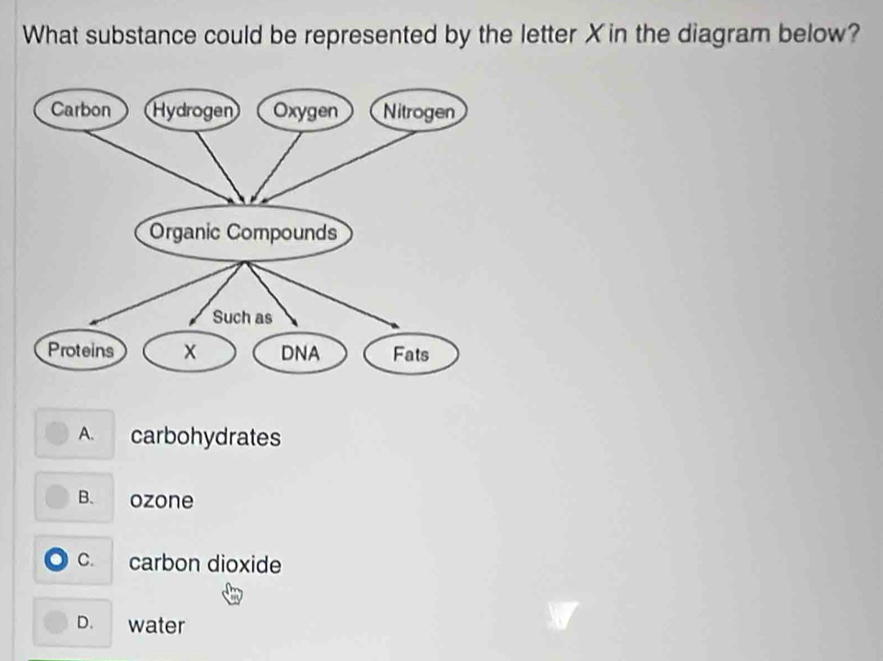 What substance could be represented by the letter X in the diagram below?
A. carbohydrates
B. ozone
c. carbon dioxide
D. water