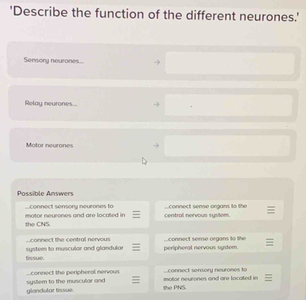 'Describe the function of the different neurones.' 
Sensory neurones... 
Relay neurones... 
Motor neurones 
Possible Answers 
...connect sensory neurones to connect sense organs to the 
motor neurones and are located in central nervous system. 
the CNS. 
...connect the central nervous connect sense organs to the 
system to muscular and glandular peripheral nervous system. 
tissue. 
connect the peripheral nervous ..connect sensory neurones to 
system to the muscular and motor neurones and are located in 
glandular tissue. the PNS.