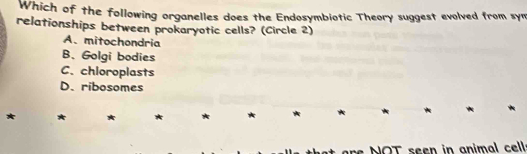 Which of the following organelles does the Endosymbiotic Theory suggest evolved from sym
relationships between prokaryotic cells? (Circle 2)
A.mitochondria
B. Golgi bodies
C. chloroplasts
D. ribosomes
*
*
re NOT seen in animal cell.