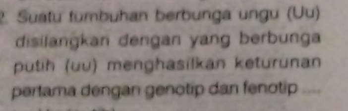 Suatu tumbuhan berbunga ungu (Uu) 
disilangkan dengan yang berbunga 
putih (üu) menghasilkan keturunan 
pertama dengan genotip dan fenotip ....