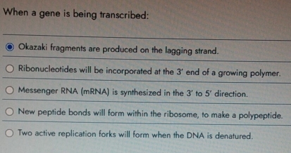 When a gene is being transcribed: 
Okazaki fragments are produced on the lagging strand. 
Ribonucleotides will be incorporated at the 3' end of a growing polymer. 
Messenger RNA (mRNA) is synthesized in the 3' to 5' direction. 
New peptide bonds will form within the ribosome, to make a polypeptide. 
Two active replication forks will form when the DNA is denatured.