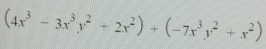 (4x^3-3x^3y^2+2x^2)+(-7x^3y^2+x^2)