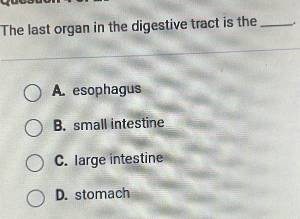 The last organ in the digestive tract is the _.
A. esophagus
B. small intestine
C. large intestine
D. stomach