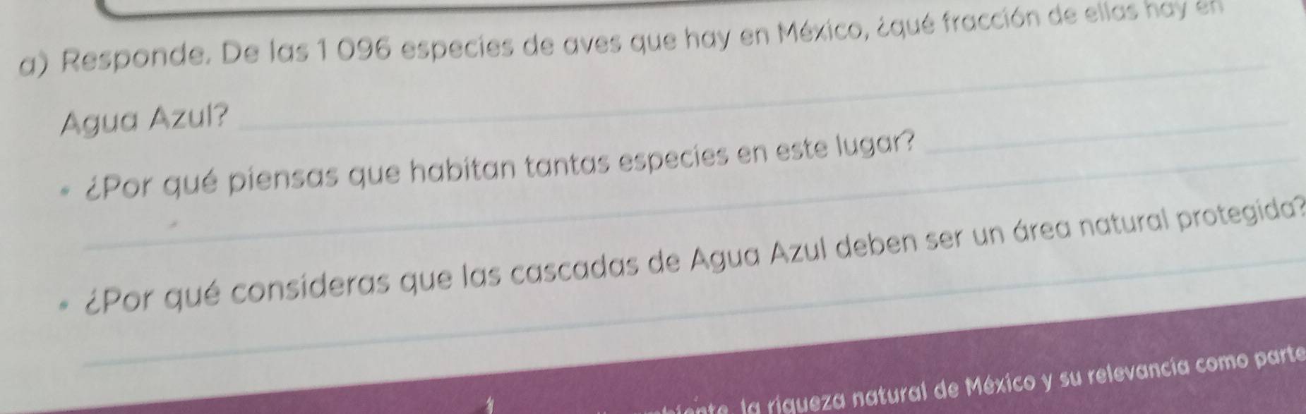 Responde. De las 1 096 especies de aves que hay en México, ¿qué fracción de ellas hay en 
Agua Azul? 
_ 
_¿Por qué piensas que habitan tantas especies en este lugar? 
_ 
_¿Por qué consideras que las cascadas de Agua Azul deben ser un área natural protegida? 
_ 
a la rigueza natural de México y su relevancía como parte