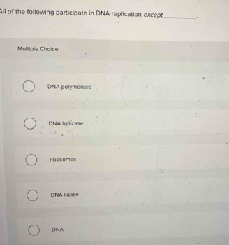 All of the following participate in DNA replication except_
Multiple Choice
DNA polymerase
DNA helicase
ribosomes
DNA ligase
DNA