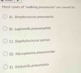 Most cases of "walking preumonia' are caused bry.
A Streptococcus preumonia
B) Legioneña pneumophila
C) Staphylococcus aureus
D) Mycoplasma pneumoniae
E) Kiebsiella preumonía