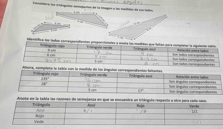 Considera los triánguios semejantes de la imagen y las medidas de sus lados.
Identifica los lados correspondientes p
leta la tabla con la medida de lo
Anota en la tabla las razones de semejanza en que se encuentra un triángulo respecto a