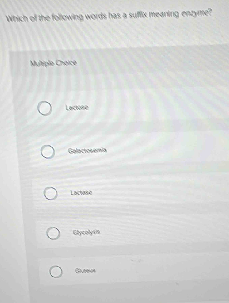 Which of the following words has a suffix meaning enzyme?
Multiple Choice
Lactose
Galactosemia
Lactase
Glycolysis
Gluteus