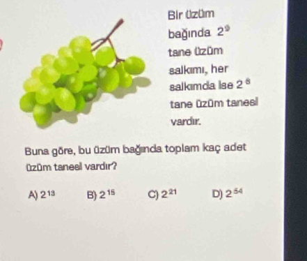 Bir üzüm
bağinda 2^9
tane üzūm
salkımı, her
salkimda lse 2^8
tane ūzūm tanesl
vardir.
Buna göre, bu üzüm bağında toplam kaç adet
Ozúm taneel vardır?
A) 2^(13) B) 2^(15) C) 2^(21) D) 2^(54)