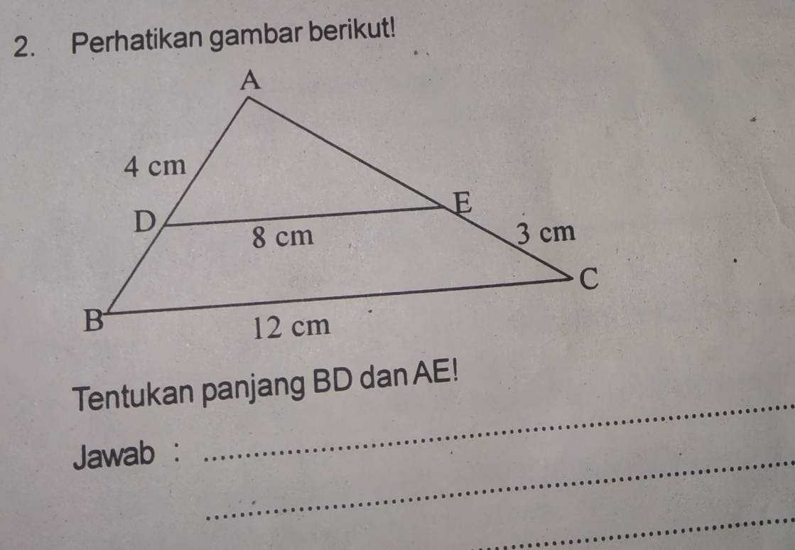 Perhatikan gambar berikut! 
_ 
Tentukan panjang BD dan AE! 
Jawab :_ 
_