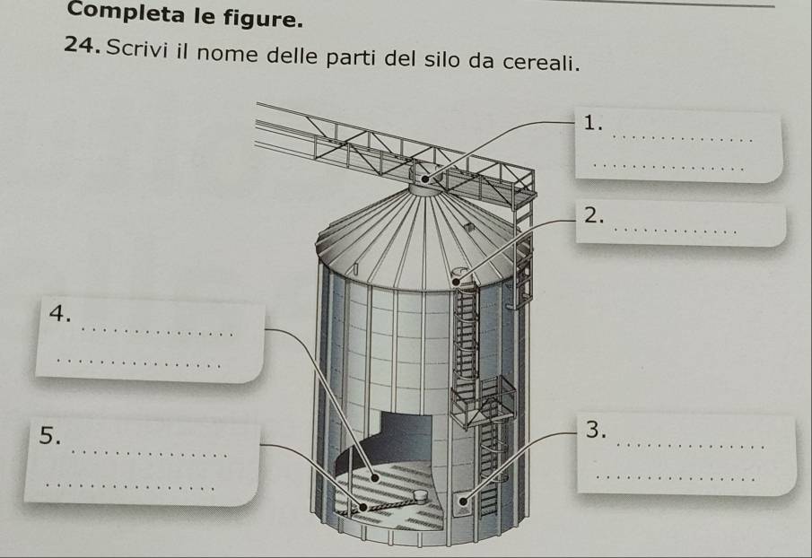 Completa le figure. 
_ 
24. Scrivi il nome delle parti del silo da cereali. 
_ 
1. 
_ 
_ 
2. 
_ 
4. 
_ 
_ 
5. 
_ 
3. 
_ 
_