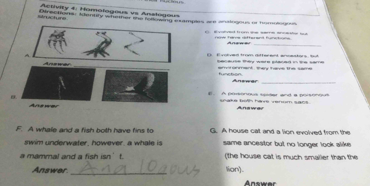 hucleus
Activity 4: Homologous vs Analogous
structure Directions: Identify whether the followimples are analogous or homologous
C. Evolved from the same ancester but
now have different functions.
Answer_
D. Evolved from different ancestors, but
because they were placed in the same 
environment, they have the same
function.
Answer._
E. A poisonous spider and a poisonous
snake both have venom sacs.
Answer
F. A whale and a fish both have fins to G. A house cat and a lion evolved from the
swim underwater, however. a whale is same ancestor but no longer look alike 
a mammal and a fish isn’ t. (the house cat is much smaller than the
_
Answer lion).
Answer