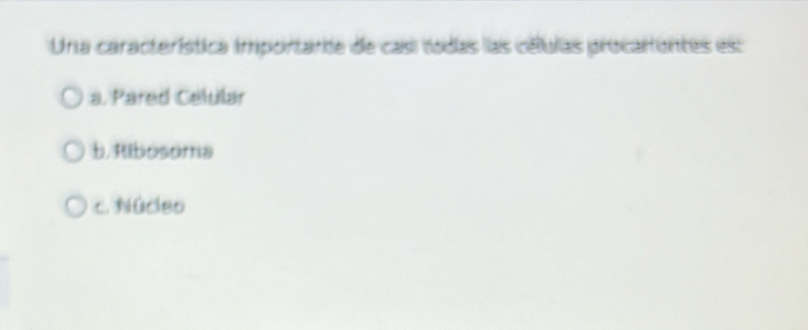 Una característica importarde de casi todas las células procartantes es:
a. Pared Celular
b. Ribosoma
c. Núceo