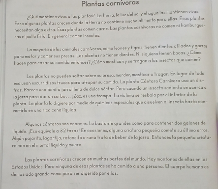 Plantas carnívoras
¿Qué mantiene vivas a las plantas? La tierra, la luz del sol y el agua las mantienen vivas.
Pero algunas plantas crecen donde la tierra no contiene mucho alimento para ellas. Esas plantas
necesitan algo extra. Esas plantas comen carne. Las plantas carnívoras no comen ni hamburgue-
sas ni pollo frito. En general comen insectos.
La mayoría de los animales carnívoros, como leones y tigres, tienen dientes afilados y garres
para matar y comer sus presas. Las plantas no tienen dientes. Ni siquiera tienen bocas. ¿Cómo
hacen para cazar su comida entonces? ¿ Cómo mastican y se tragan a los insectos que comen?
Las plantas no pueden saltar sobre su presa, morder, masticar o tragar. En lugar de todo
eso usan escurridizos trucos para atrapar su comida. La planta Cántaro Carnívora usa un dis-
fraz. Parece una bonita jarra llena de dulce néctar. Pero cuando un insecto sediento se acerca a
la jarra para dar un sorbo.. . ¡Zaz, es una trampa! La víctima se resbala por el interior de la
planta. La planta lo digiere por medio de químicos especiales que disuelven al insecto hasta con-
vertirlo en una rica cena líquida.
Algunos cántaros son enormes. Lo bastante grandes como para contener dos galones de
líquido. ¡Eso equivale a 32 tazas! En ocasiones, alguna criatura pequeña comete su último error.
Algún pajarito, lagartija, ratoncito o rana trata de beber de la jarra. Entonces la pequeña criatu-
ra cae en el mortal líquido y muere.
Las plantas carnívoras crecen en muchas partes del mundo. Hay montones de ellas en los
Estados Unidos. Pero ninguna de esas plantas se ha comido a una persona. El cuerpo humano es
demasiado grande como para ser digerido por ellas.