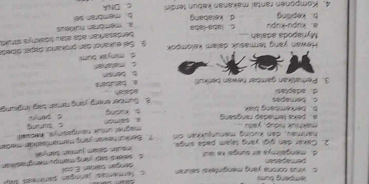 lempeng bumi
c. virus corona yang menginfeksi saluran c. farmentasi jaringan pankras 1
dangan baklari E.pol
pemapasan
d. saiaksi sapi yang mampu manghasikan
d. mengailimya air sungai ke laut
insulín daïam jumían banyak
2. Cakar dan gigi yang tajam pada singa 7. Berkut hawan yang məmanfaatkan madar
harimau, dan kucing menunjukkan c in
magnel untuk navigasinya, kapuali
makhluk hidup, yaitu ,,. c buting
a. salmon
a. peka terhadap rangsang d. panyu
b. berkembang blak b. kuding
c.berapas
3. Sumber anergi yang ramah bag linglumg
d. adaptasi
adalah
3. Perhatikan gambar hewan berikut! a. batubara
b. bansin
c. matahari
d. minyak bumi
Hewan yang termasuk dalam kelompok 9. Sel eukariot dan prokariot dapal dibad
Myriapoda adalah ....
a. kupu-kupu c. laba-laba bardasarkan adə aïau tidaknya strukt
b. kepiting d. kelabang a. mambran nukiaus
4. Komponen rantai makanan kebun terdiri b. mambran sa
c. DNA