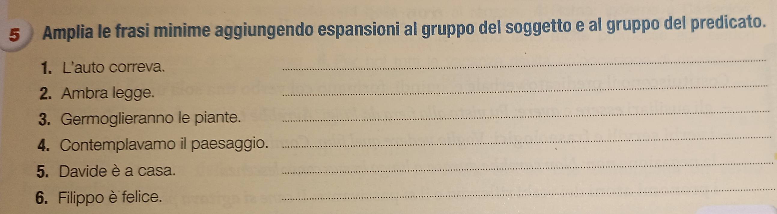 Amplia le frasi minime aggiungendo espansioni al gruppo del soggetto e al gruppo del predicato. 
1. L'auto correva. 
_ 
2. Ambra legge. 
_ 
3. Germoglieranno le piante. 
_ 
4. Contemplavamo il paesaggio. 
_ 
5. Davide è a casa. 
_ 
6. Filippo è felice. 
_