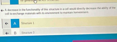 A decrease in the functionality of this structure in a cell would directly decrease the ability of the
cell to exchange materials with its environment to maintain homeostasis.
A Structure 1
B Structure 3