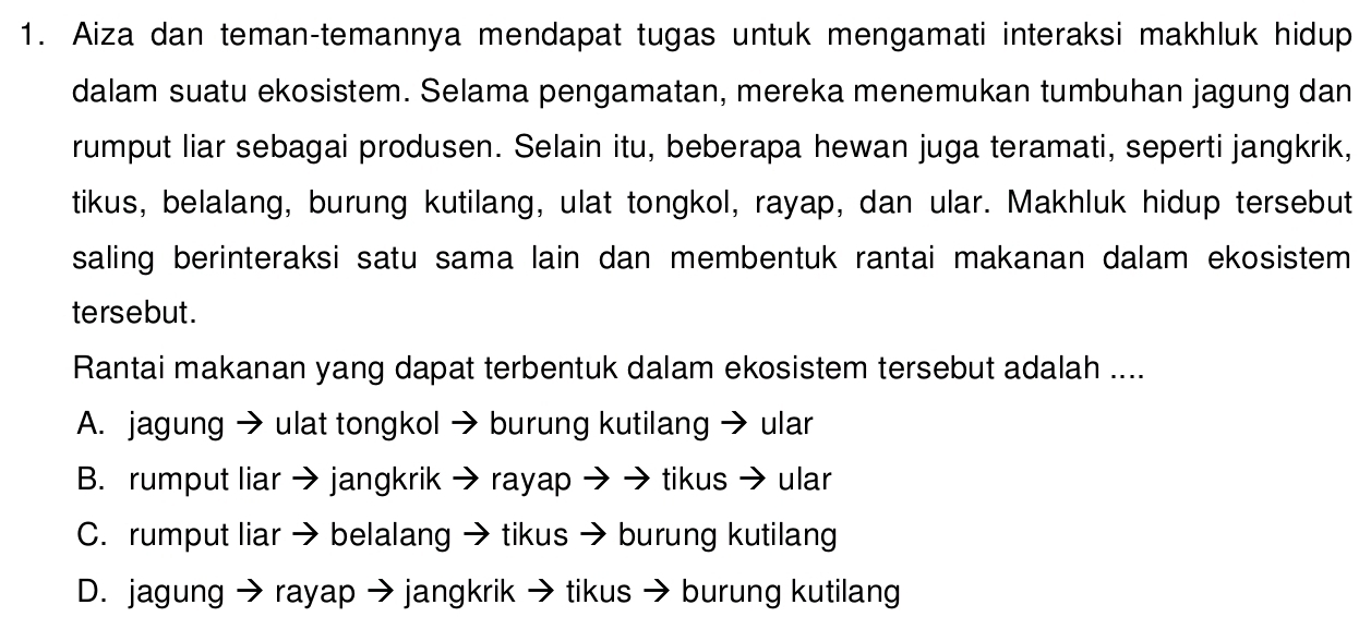 Aiza dan teman-temannya mendapat tugas untuk mengamati interaksi makhluk hidup
dalam suatu ekosistem. Selama pengamatan, mereka menemukan tumbuhan jagung dan
rumput liar sebagai produsen. Selain itu, beberapa hewan juga teramati, seperti jangkrik,
tikus, belalang, burung kutilang, ulat tongkol, rayap, dan ular. Makhluk hidup tersebut
saling berinteraksi satu sama lain dan membentuk rantai makanan dalam ekosistem 
tersebut .
Rantai makanan yang dapat terbentuk dalam ekosistem tersebut adalah ....
A. jagung → ulat tongkol → burung kutilang → ular
B. rumput liar → jangkrik → rayap → → tikus → ular
C. rumput liar → belalang → tikus → burung kutilang
D. jagung → rayap → jangkrik → tikus → burung kutilang