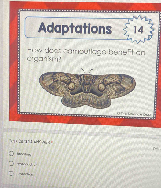 Adaptations 14
How does camouflage benefit an
organism?
Task Card 14 ANSWER *
3 point
breeding
reproduction
protection