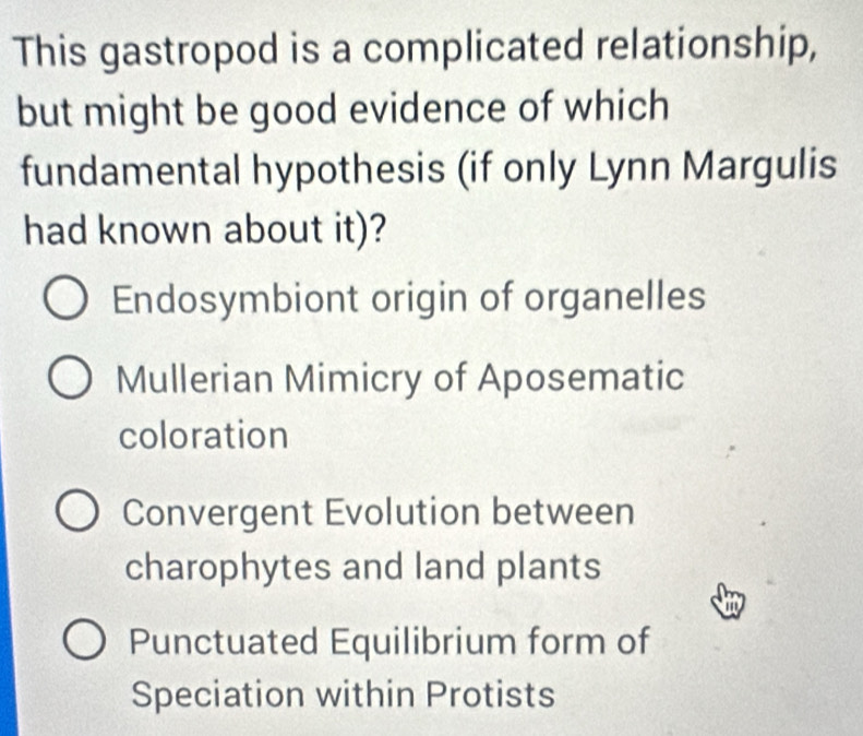 This gastropod is a complicated relationship,
but might be good evidence of which
fundamental hypothesis (if only Lynn Margulis
had known about it)?
Endosymbiont origin of organelles
Mullerian Mimicry of Aposematic
coloration
Convergent Evolution between
charophytes and land plants
Punctuated Equilibrium form of
Speciation within Protists