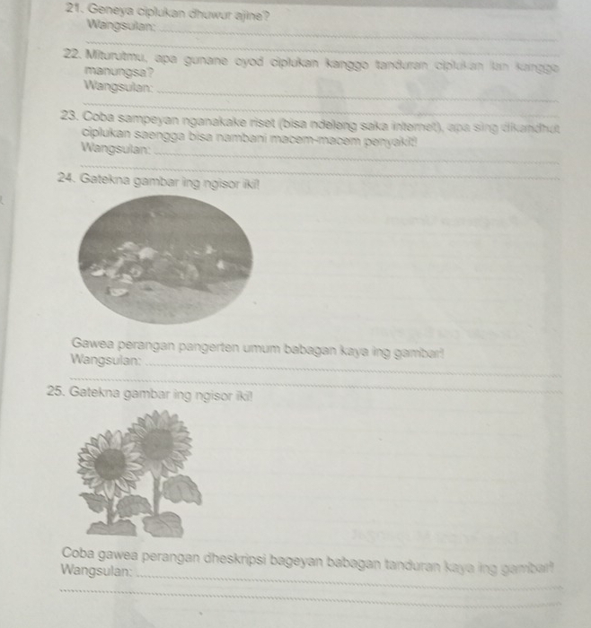 Geneya ciplukan dhuwur ajine? 
Wangsulan: 
_ 
_ 
22. Miturutmu, apa gunane oyod ciplukan kanggo tanduran ciplukan lan kaingga 
manungsa? 
Wangsulan: 
_ 
_ 
23. Coba sampeyan nganakake riset (bisa ndeleng saka internet), apa sing dikandhut 
ciplukan saengga bisa nambani macem-macəm penyakil!! 
Wangsulan: 
_ 
_ 
24. Gatekna gambar ing ngisor iki! 
Gawea perangan pangerten umum babagan kaya ing gambar! 
Wangsulan: 
_ 
_ 
25. Gatekna gambar ing ngisor iki! 
Coba gawea perangan dheskripsi bageyan babagan tanduran kaya ing gambar 
Wangsulan: 
_ 
_