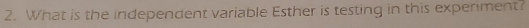 What is the independent variable Esther is testing in this experiment?