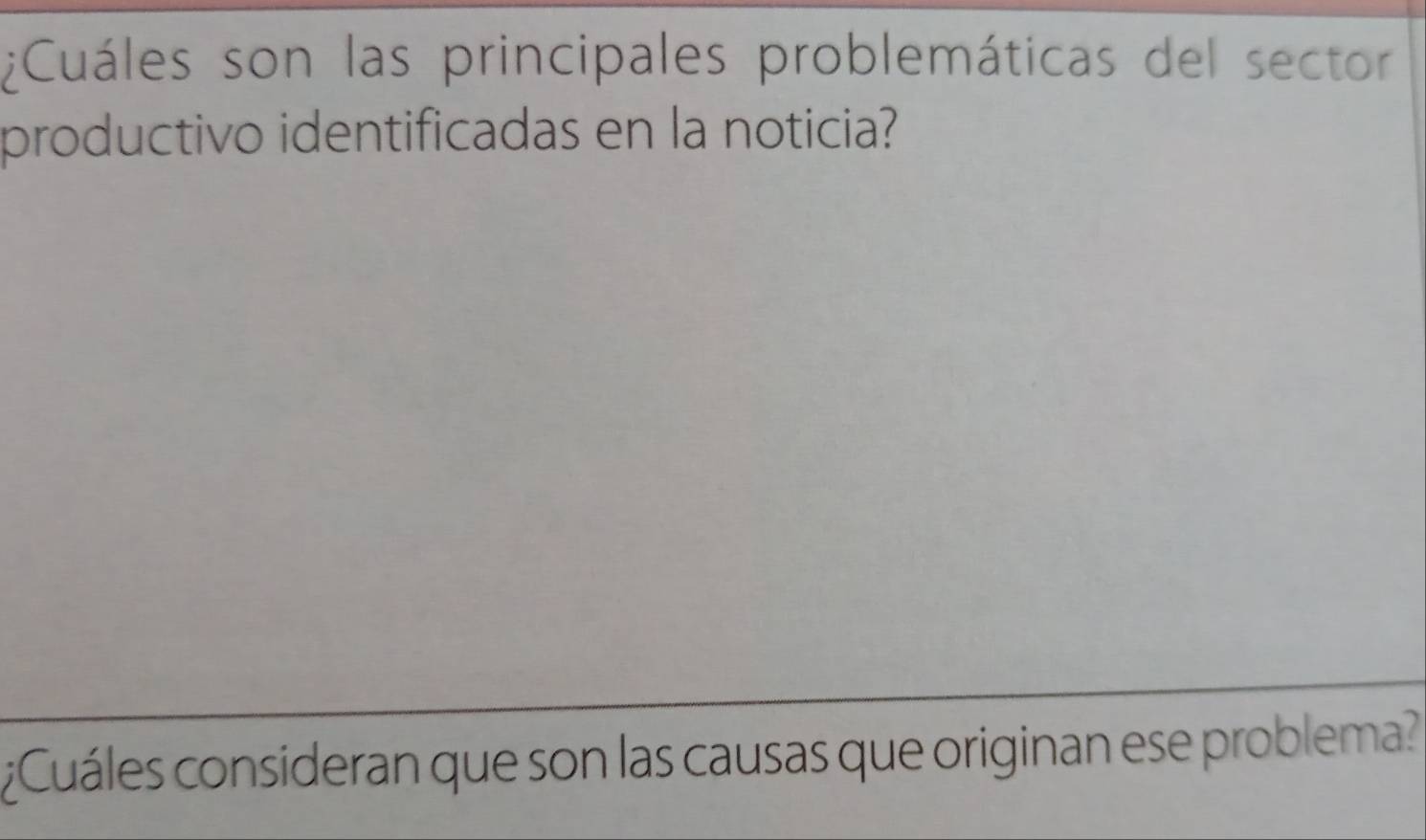 ¿Cuáles son las principales problemáticas del sector 
productivo identificadas en la noticia? 
¿Cuáles consideran que son las causas que originan ese problema?