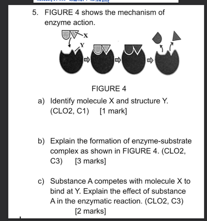 Selesai:FIGURE 4 shows the mechanism of enzyme action. FIGURE 4 a ...