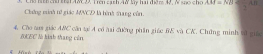 Chổ hình chữ nhật ABCD. Trên cạnh AB lầy hai điểm M, N sao cho AM=NB
Chứng minh tứ giác MNCD là hình thang cân. 
4. Cho tam giác ABC cân tại A có hai đường phân giác BE và CK. Chứng minh tứ giác
BKEC là hình thang cân. 
5 ình 2 a