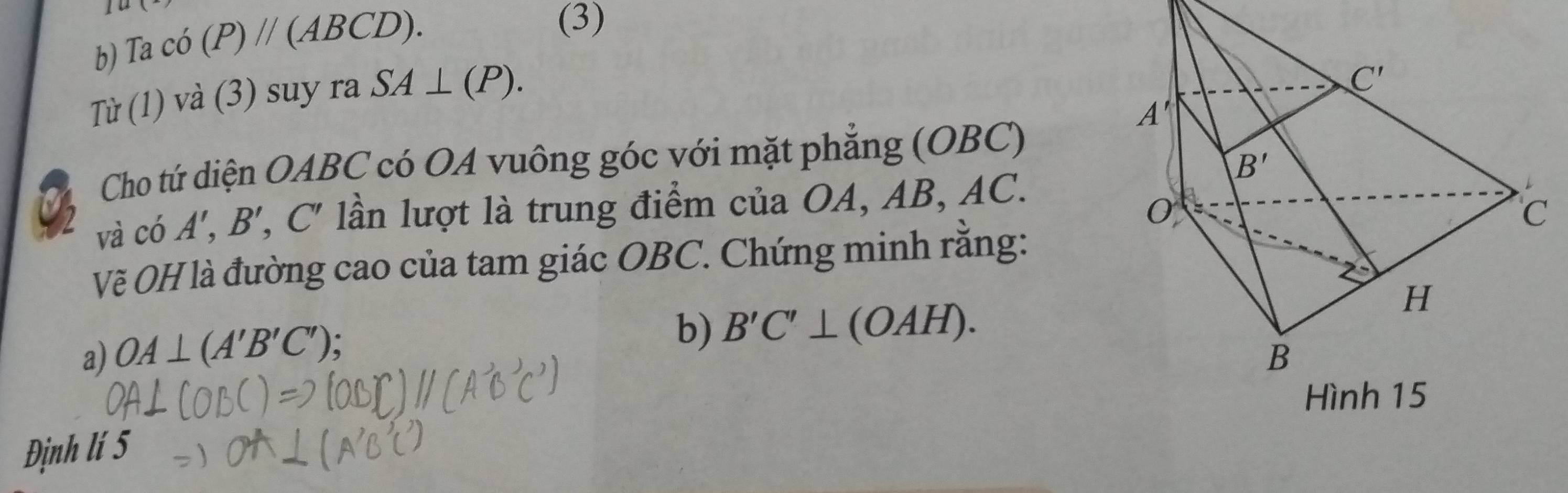 1u
b) Taco(P)parallel (ABCD).
(3)
Từ (1) và (3) suy ra SA⊥ (P).
Cho tứ diện OABC có OA vuông góc với mặt phẳng (OBC)
và CO A',B', ,C' lần lượt là trung điểm của OA, AB, AC.
Vẽ OH là đường cao của tam giác OBC. Chứng minh rằng:
a) OA⊥ (A'B'C').
b) B'C'⊥ (OAH).
Định lí 5