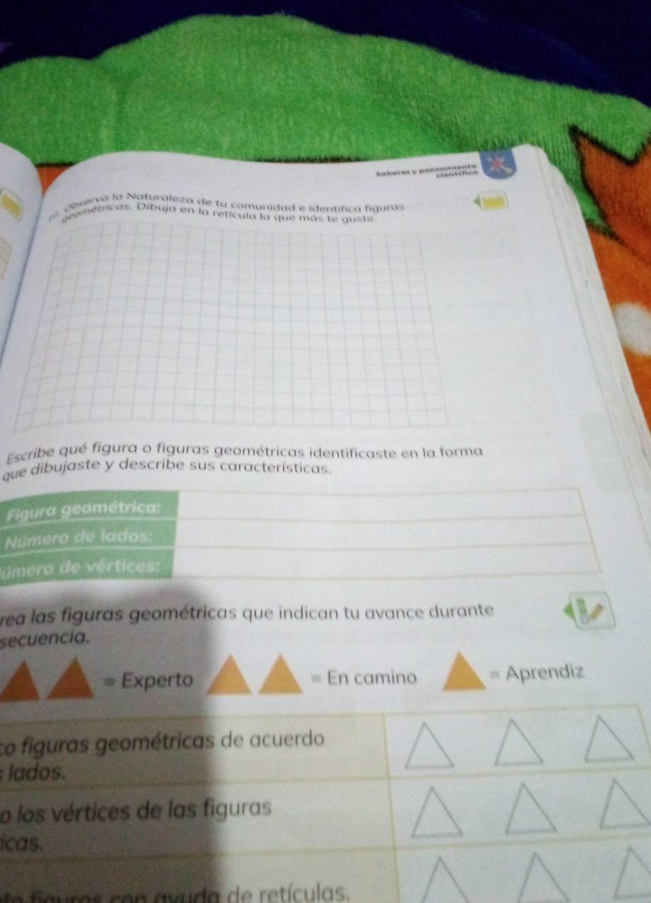 Observa la Naturaleza de tu comunidad e identífica figuras 
geométricas. Dibuja en la retícula la que más te guste 
Escribe qué figura o figuras geométricas identificaste en la forma 
que dibujaste y describe sus características. 
Figura geométrica: 
Número de lados: 
Júmero de vértices: 
rea las figuras geométricas que indican tu avance durante 
secuencía. 
= Experto = En camino = Aprendiz 
co figuras geométricas de acuerdo 
lados. 
o los vértices de las figuras 
icas. 
o a u ras co n a v u da de retí culas.