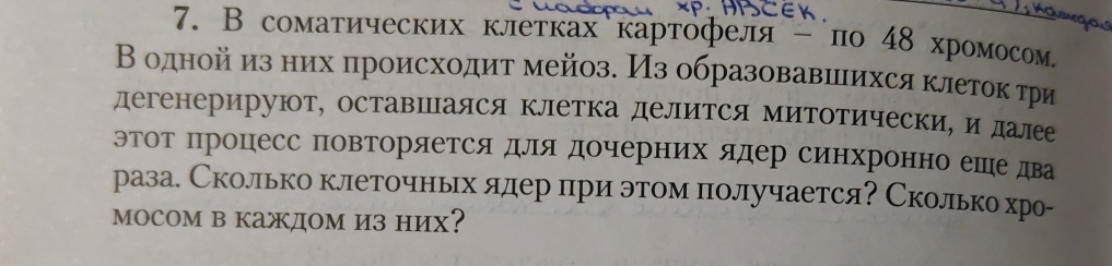 В соматических клеткахекартофеля - по 48 хромосом. 
В одной изних πроисходит мейоз. Из образовавшихся клетоκ τри 
дегенерируют, оставΙΠаяся клетка делится миΤотически, и далее 
эгот Πроцесс Πовторяется для дочерних ядер синхронно еше два 
раза. Сколько клеточньх ядер при этом получается? Сколько хро- 
мосом в каждом из них?