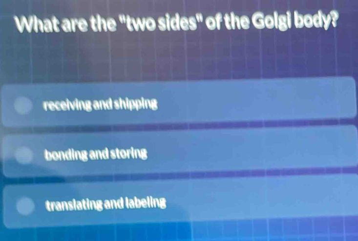 What are the "two sides" of the Golgi body?
receiving and shipping
bonding and storing
translating and labeling