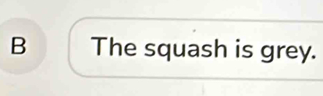 The squash is grey.