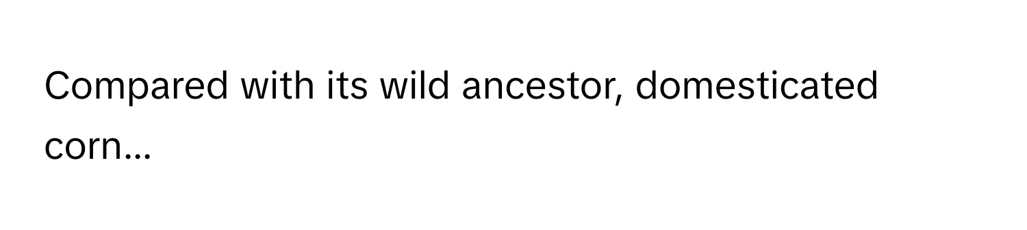 Compared with its wild ancestor, domesticated corn...