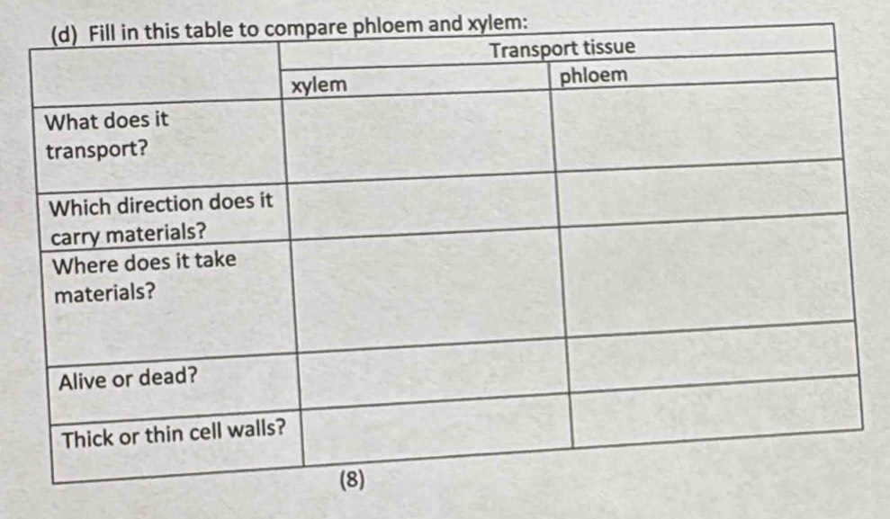 hloem and xylem: