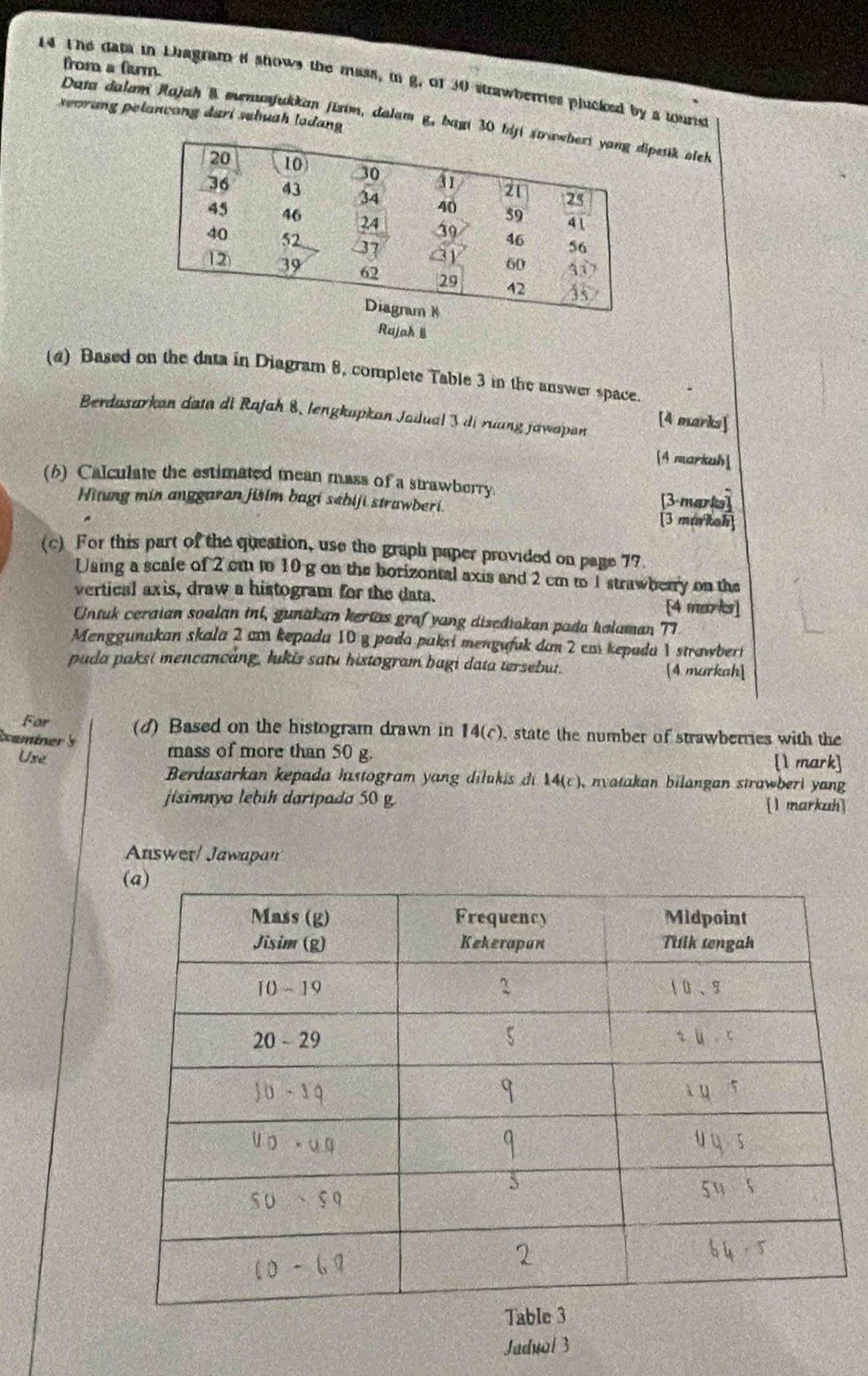 from a fiurm. 
14 The data in Lhagram i shows the mass, in g, of 30 strawberries plucked by a wourist 
seorang pelanvong dari sehuah ladan 
Data dalam Rajah & menusjukkan jisim, dalam g, bagi 30 bijpesik sich 
Rajah B 
(a) Based on the data in Diagram 8, complete Table 3 in the answer space. 
Berdasarkan data dl Rafah 8, lengkapkan Jadual 3 di ruang jawapan [4 marks] 
[4 markuh] 
(6) Calculate the estimated mean mass of a strawberry. 
Hitung min anggaran jisim bagi sabiji strawberi. [3 mikah] [3-marks] 
(c) For this part of the queation, use the graph paper provided on page 77. 
Using a scale of 2 cm to 10 g on the borizontal axis and 2 cm to 1 strawberry on the 
vertical axis, draw a histogram for the data. [4 marks] 
Untuk ceraian soalan ini, gunakan kertas graf yang disediakan pada kalaman TI 
Menggunakan skala 2 cm kepada 10 y pada paksi mengufuk dan 2 cm kepada 1 strawberi 
puda paksi mencancang, lukis satu histogram bagi data tersebut. [4 markah] 
For 
xaminer 5 (d) Based on the histogram drawn in 14(c) , state the number of strawberries with the 
mass of more than 50 g. 
Use [1 mark] 
Berdasarkan kepada histogram yang dilukis di 14(c), nvatakan bilangan strawberi yang 
jisimnya lebíh daripada 50 g. [1 markah 
Answer/ Jawapan 
Jadual 3
