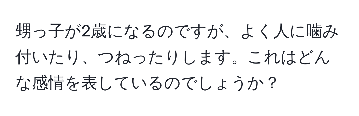 甥っ子が2歳になるのですが、よく人に噛み付いたり、つねったりします。これはどんな感情を表しているのでしょうか？