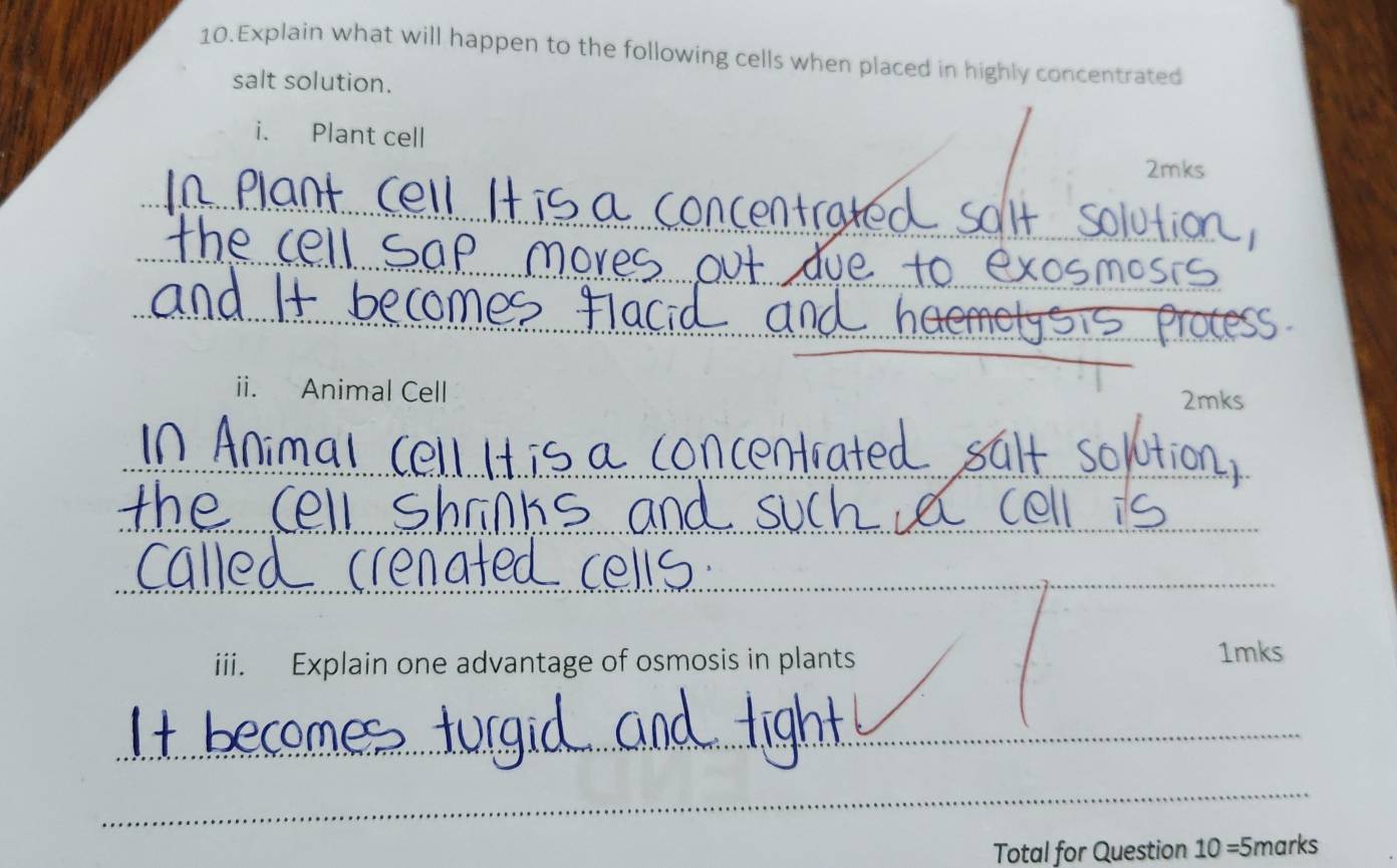 Explain what will happen to the following cells when placed in highly concentrated 
salt solution. 
i. Plant cell 
2mks 
_ 
_ 
_ 
_ 
ii. Animal Cell 2mks 
_ 
_ 
_ 
iii. Explain one advantage of osmosis in plants 
1mks 
_ 
_ 
Total for Question 10=5 marks