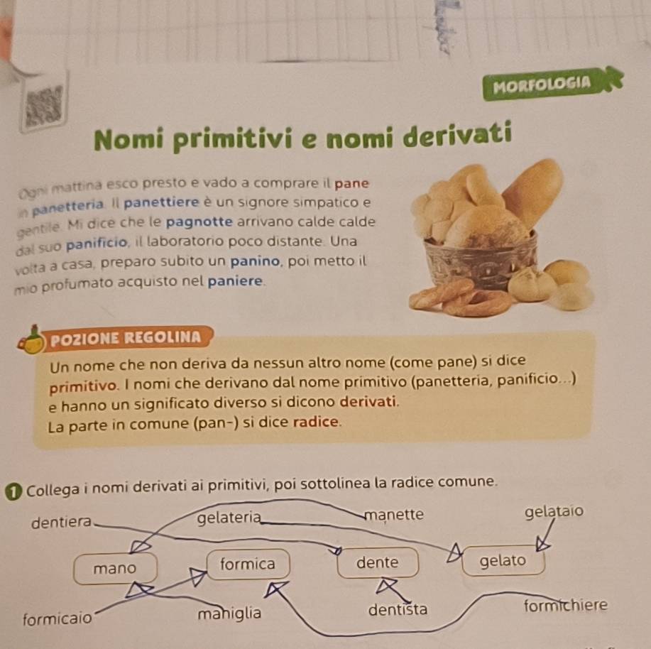 Risolto:MORFOLOGIA Nomi primitivi e nomi derivati Coni mattina esco ...