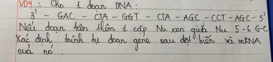 VO4 : Cho 1 doan ONA:
3^1-GAC-CTA-GGT-CTA-AGC-CCT-AGC-5'
Ne dean trin them I cap Nu xen qiui Nu 5-6GC
Kai dink tinh hu doan gene sau dot biǔn wà mnA 
cud nó.