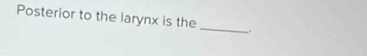 Posterior to the larynx is the _.