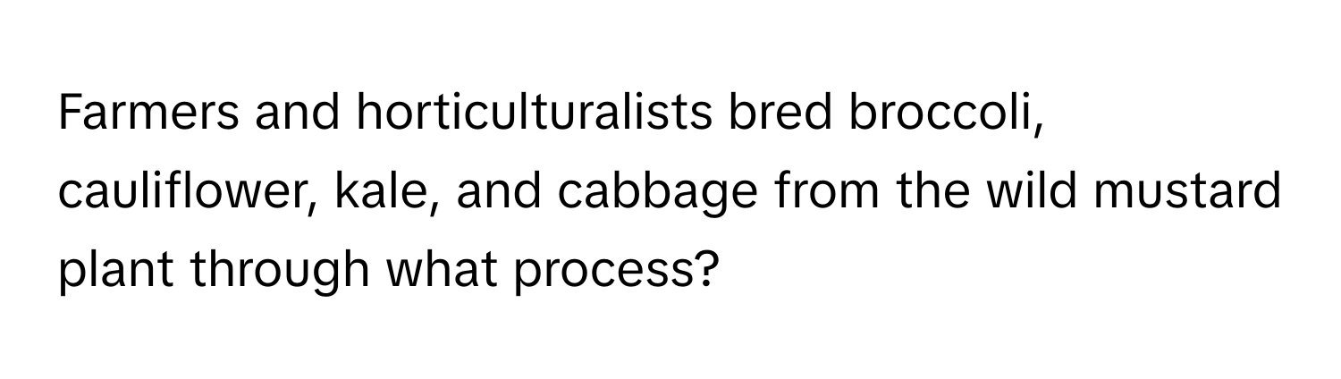 Farmers and horticulturalists bred broccoli, cauliflower, kale, and cabbage from the wild mustard plant through what process?