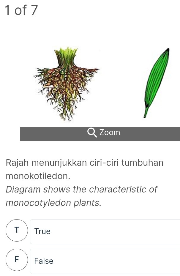 of 7
Zoom
Rajah menunjukkan ciri-ciri tumbuhan
monokotiledon.
Diagram shows the characteristic of
monocotyledon plants.
T  True
F False