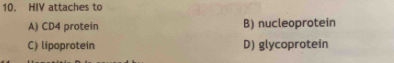 HIV attaches to
A) CD4 protein B) nucleoprotein
C) lipoprotein D) glycoprotein