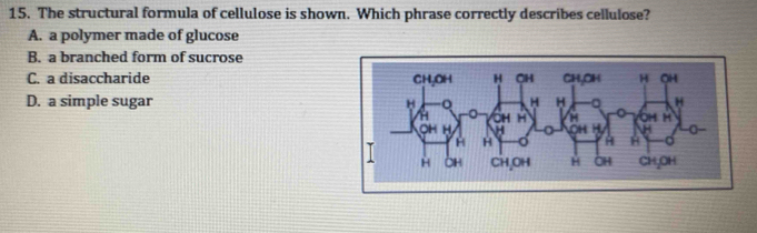 The structural formula of cellulose is shown. Which phrase correctly describes cellulose?
A. a polymer made of glucose
B. a branched form of sucrose
C. a disaccharide
D. a simple sugar