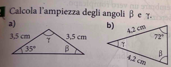 Calcola l'ampiezza degli angoli β e γ.
a)